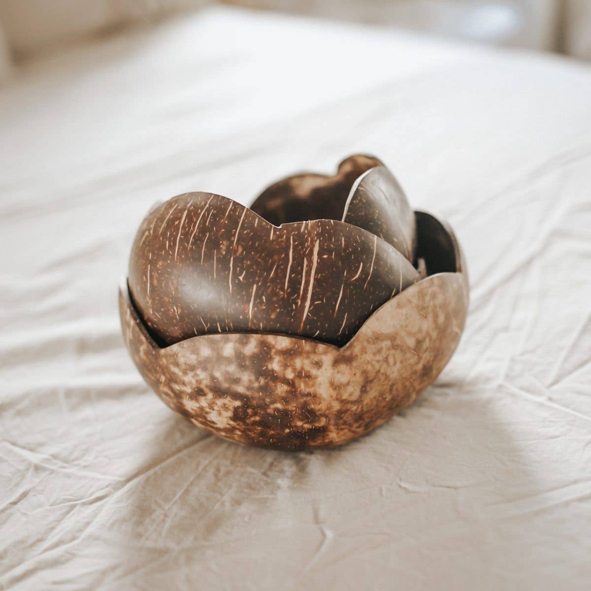 Coconut Flower Bowls- Set Of 3