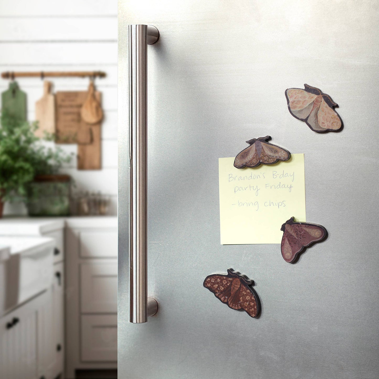 Hidden Garden Magnet Set