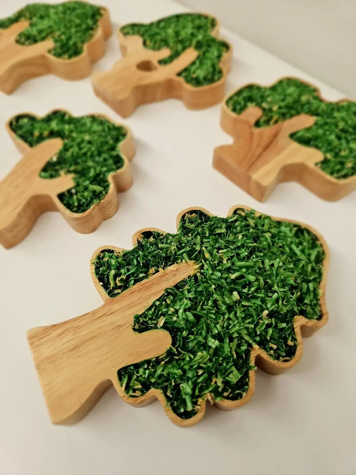 Woodland Tree Set – Set of 6