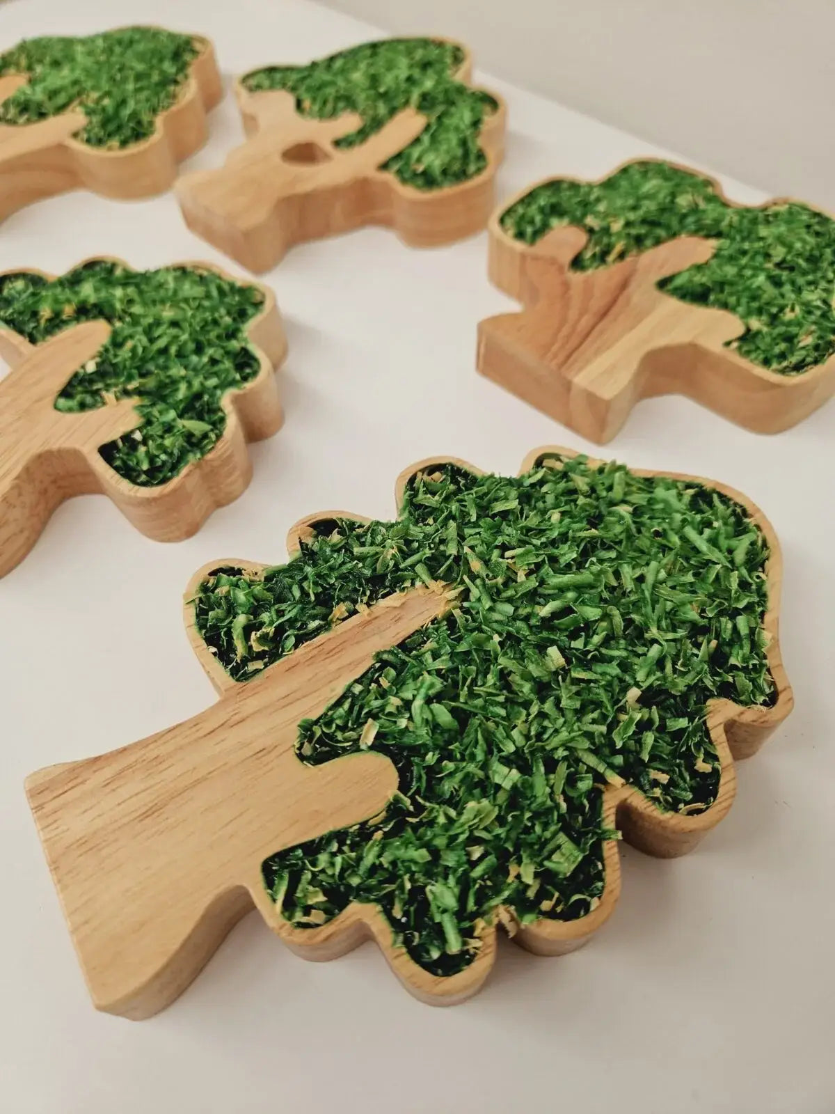 Woodland Tree Set – Set of 6