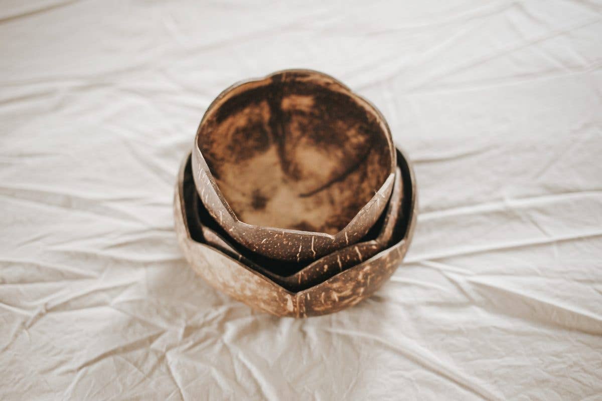 Coconut Flower Bowls- Set Of 3