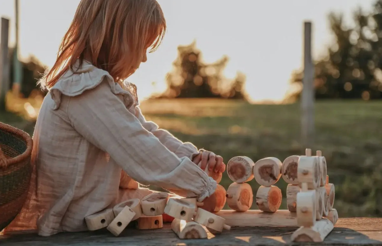 Little Forest Builder – Wooden Tree Construction Kit- 40 Pieces