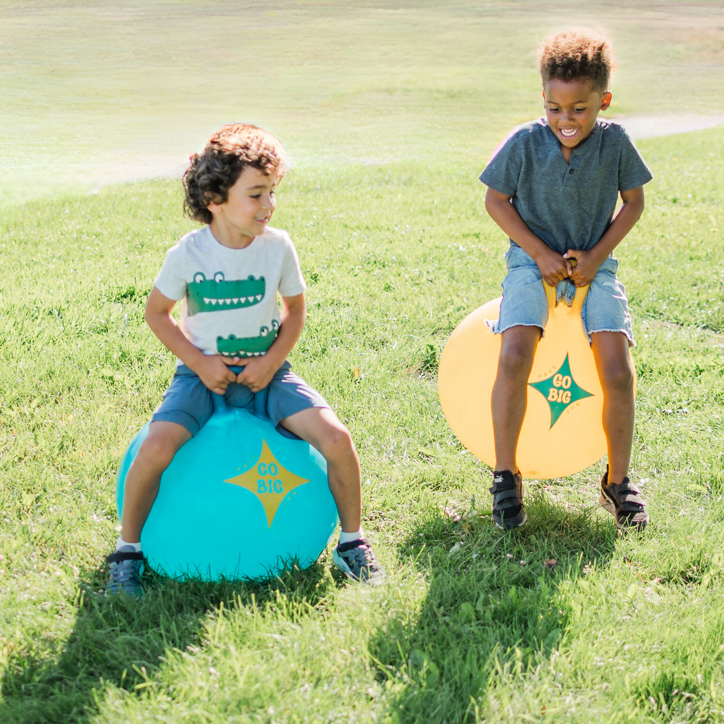 Set of 2 Hop Ball Race set