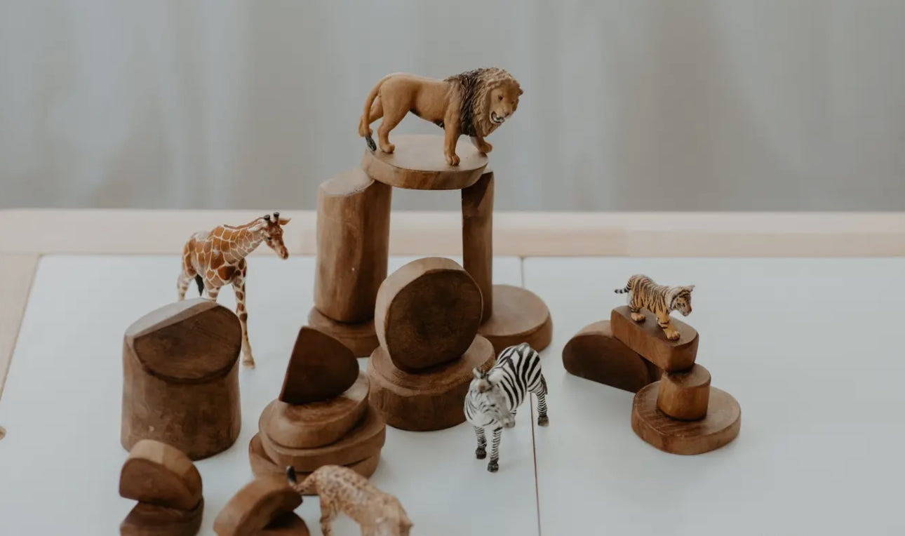 Wildwood Balance Blocks – 20pc Set