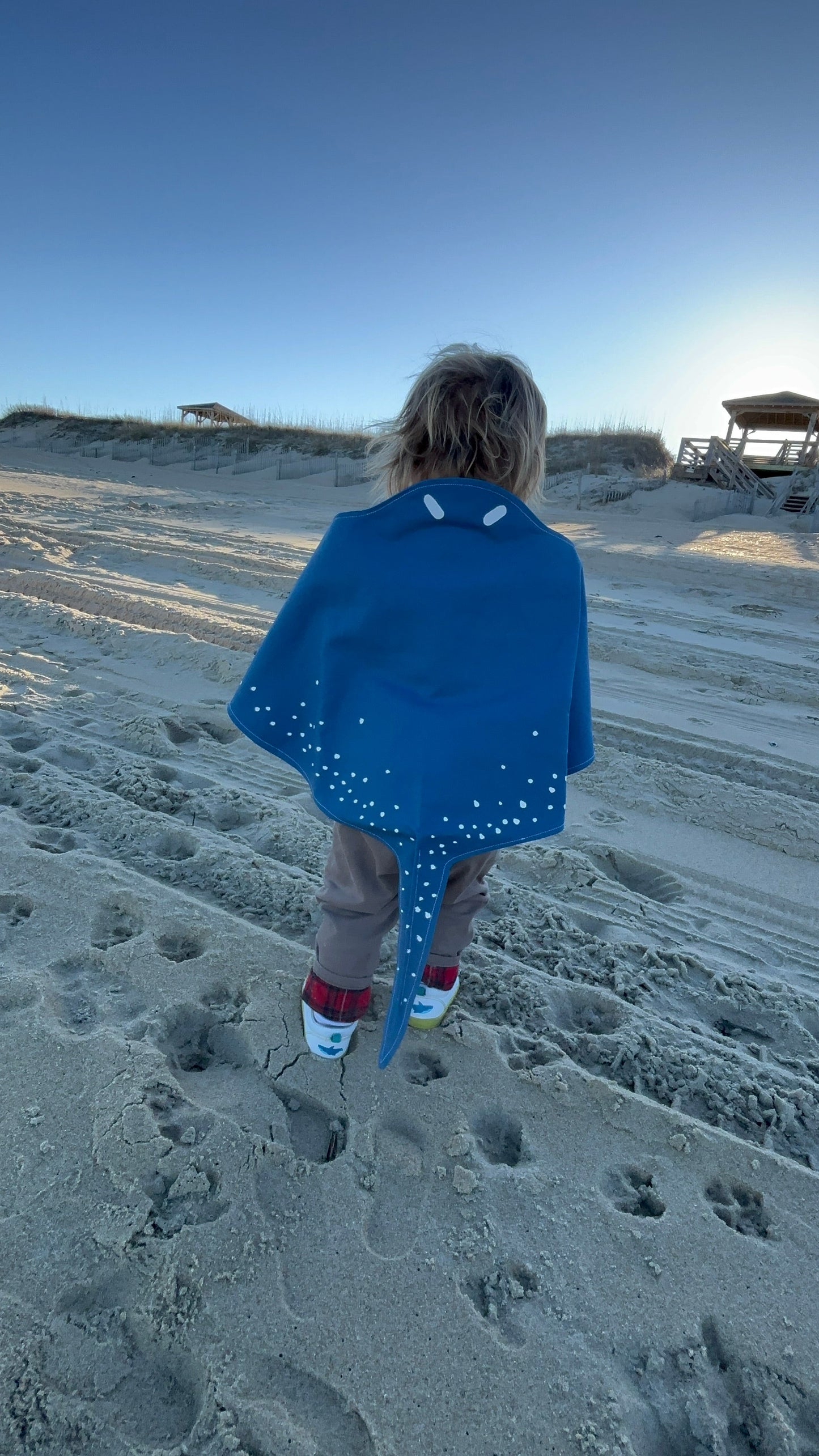 Stingray Costume Wings