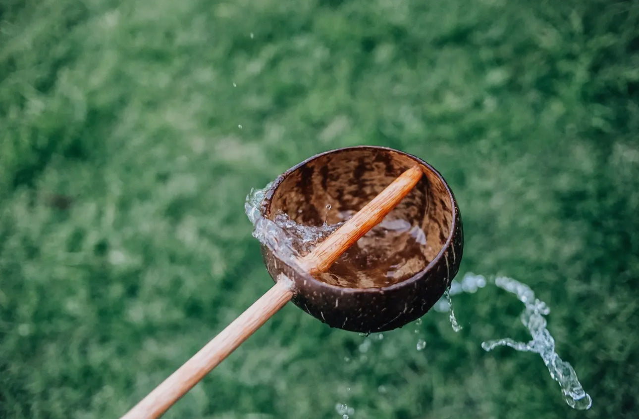 Wooden Coconut Sand & Water Scoop