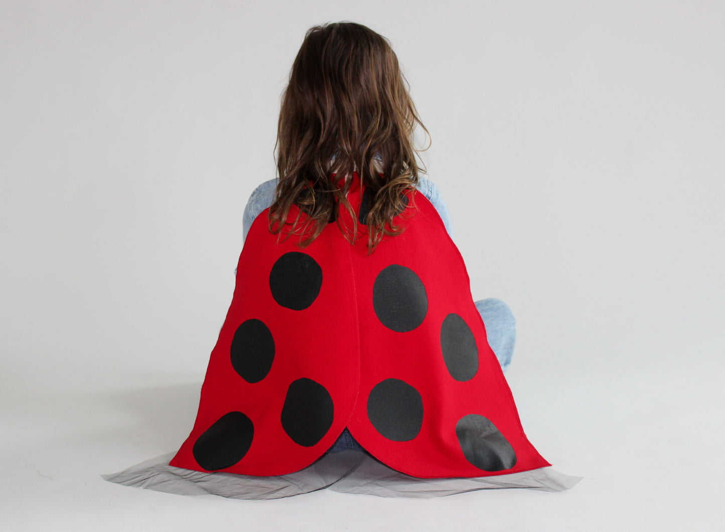 Ladybug Wings Costume