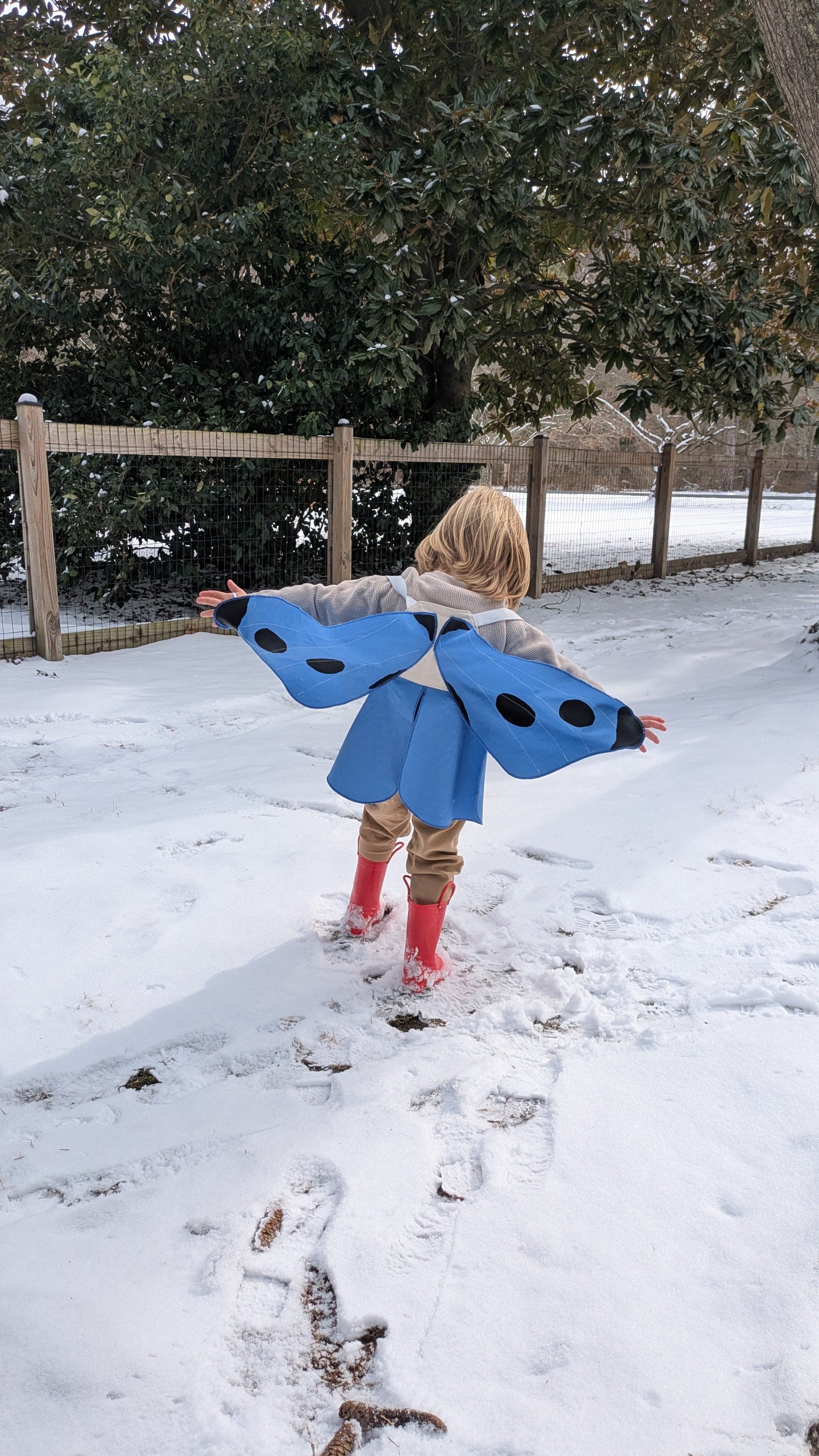 Spotted Blue Butterfly Wings Costume