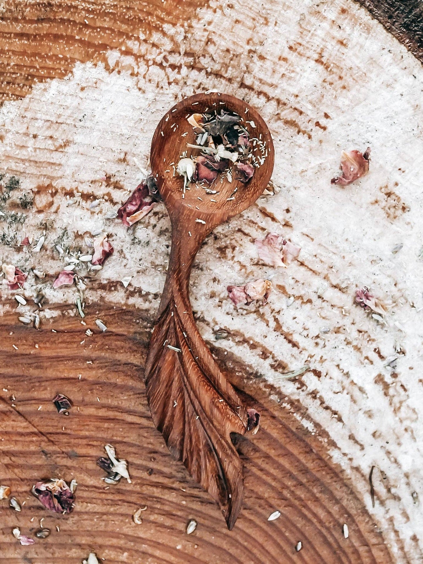 The Wandering Leaf Spoon