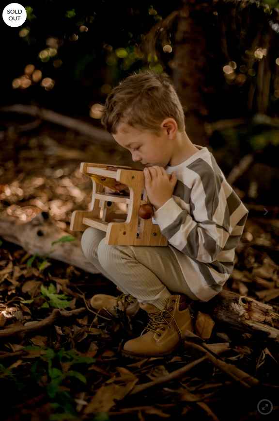 Wooden Microscope- Nature Explorer Tool