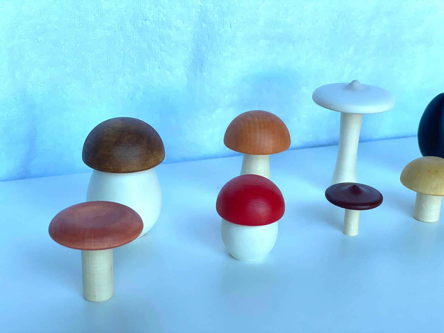 Wooden Mushroom Toys set of 11